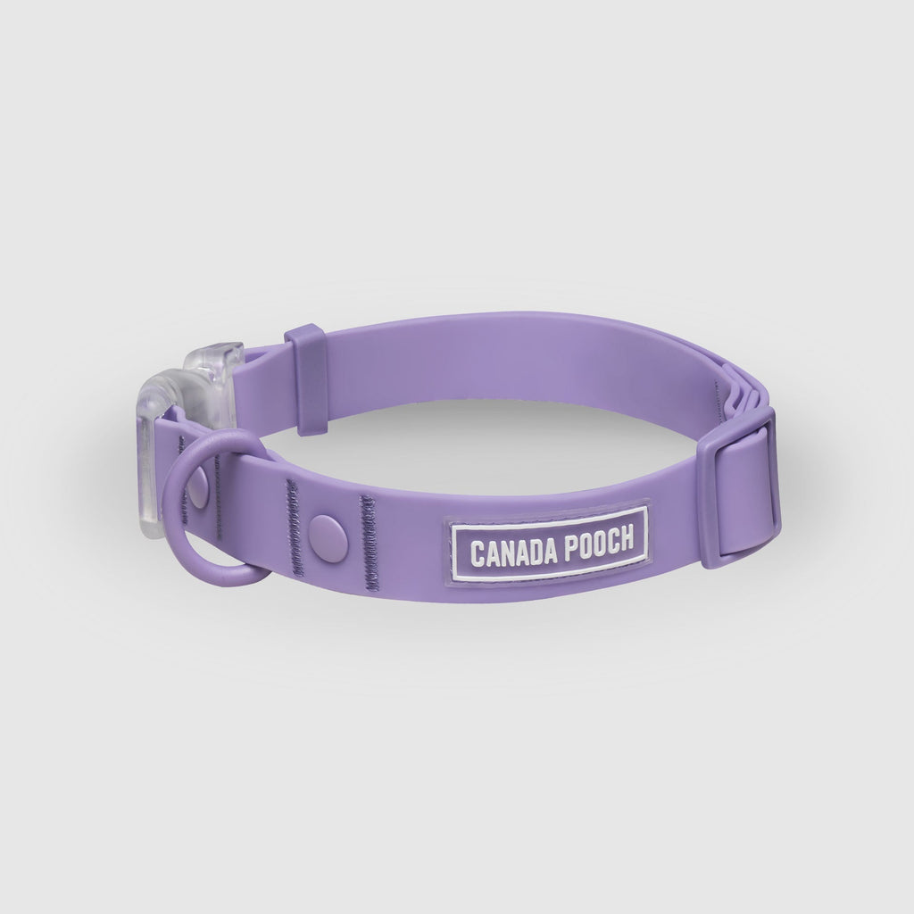 Waterproof Collar by Canada Pooch | Canadapoud 28A8