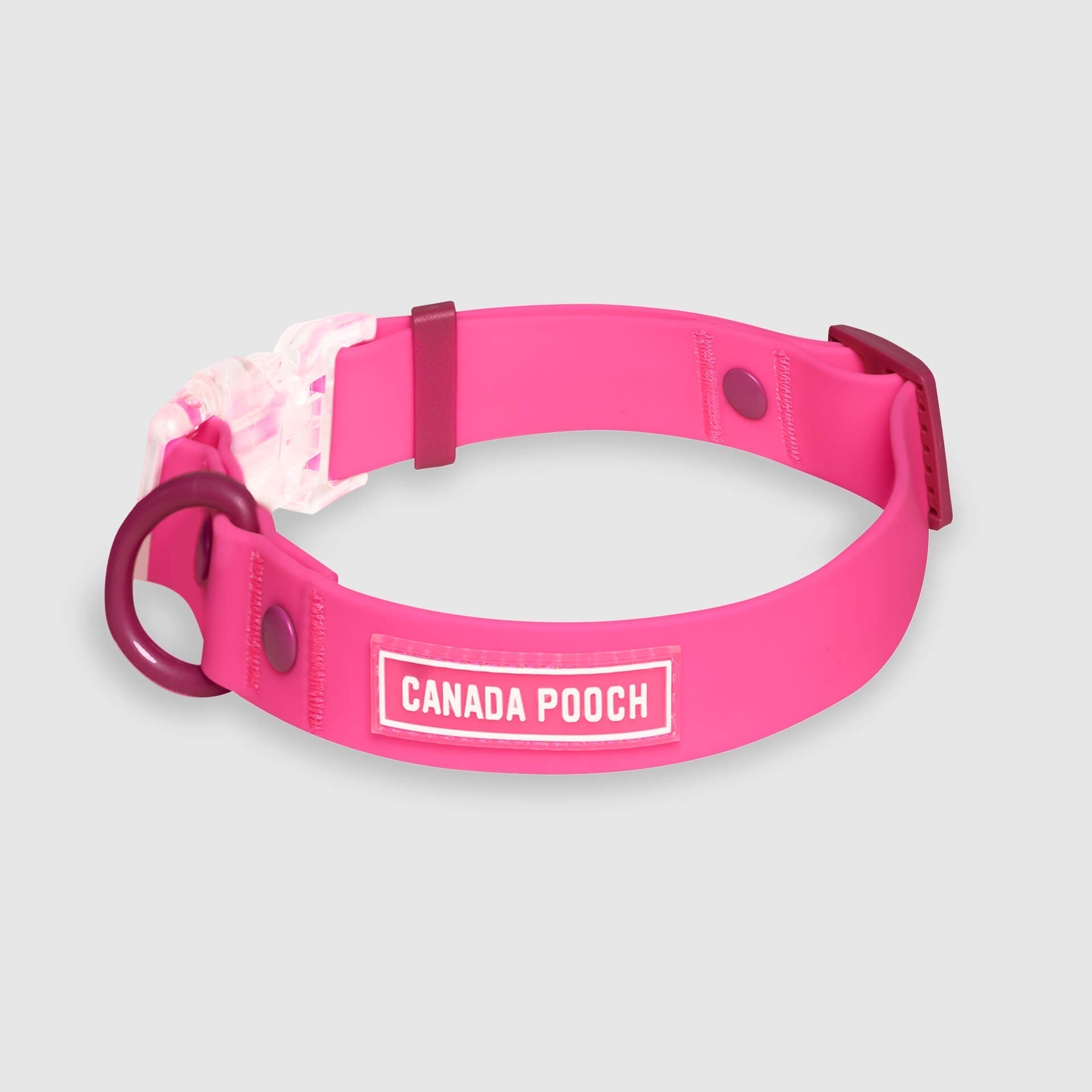 Waterproof Collar by Canada Pooch | Canadapoud 28A8