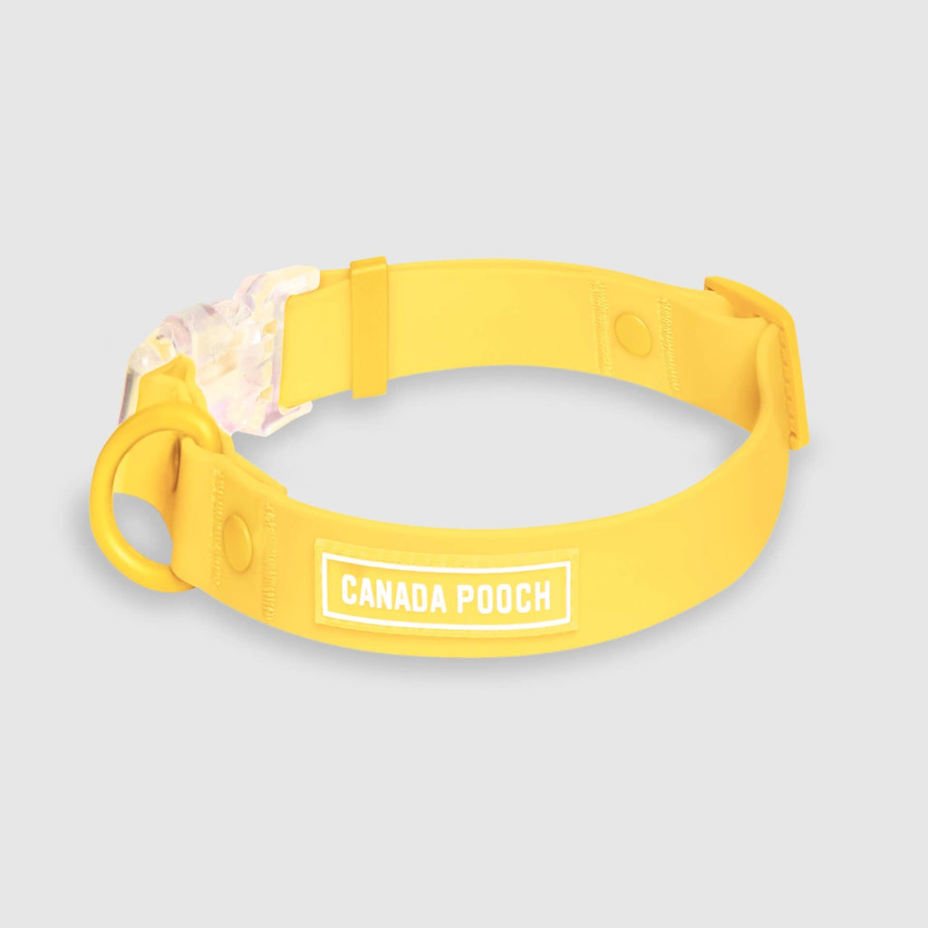 Waterproof Collar by Canada Pooch | Canadapoud 28A8