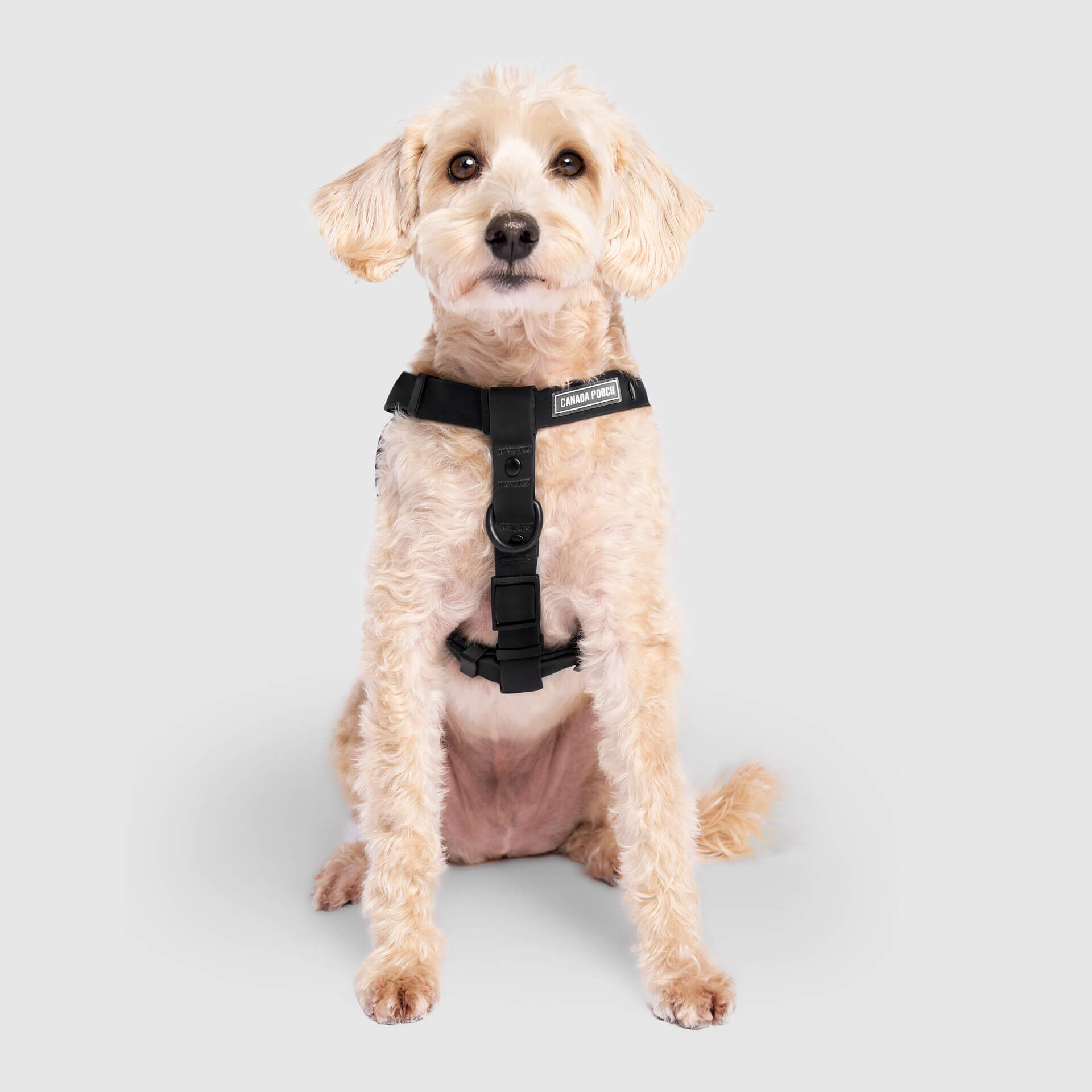 Waterproof Harness by Canada Pooch | Canadapoud 6210