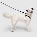 Waterproof Harness by Canada Pooch | Canadapoud 6210