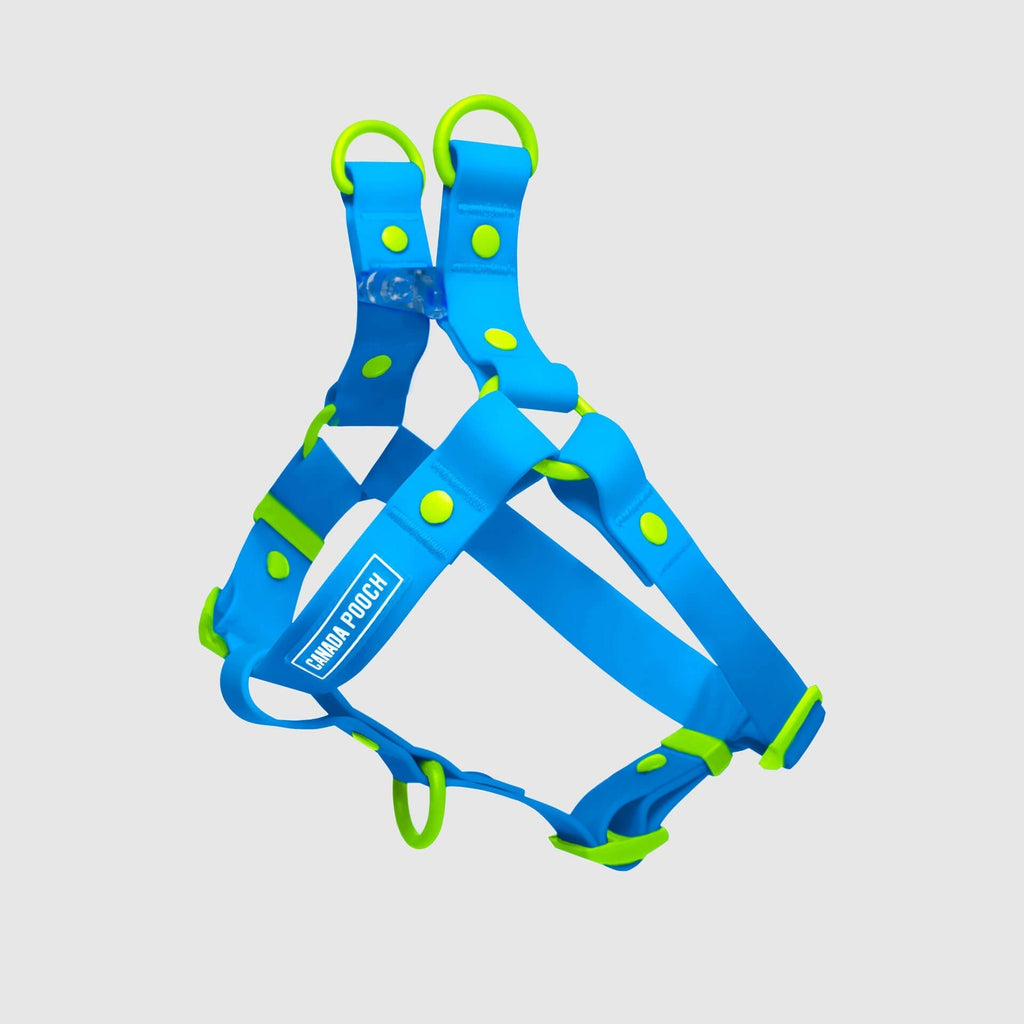 Waterproof Harness by Canada Pooch | Canadapoud 6210