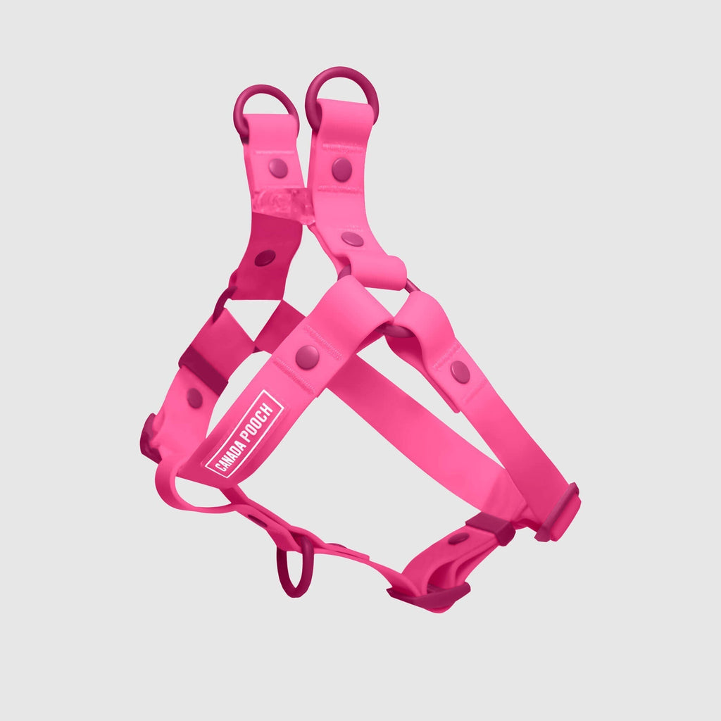 Waterproof Harness by Canada Pooch | Canadapoud 6210