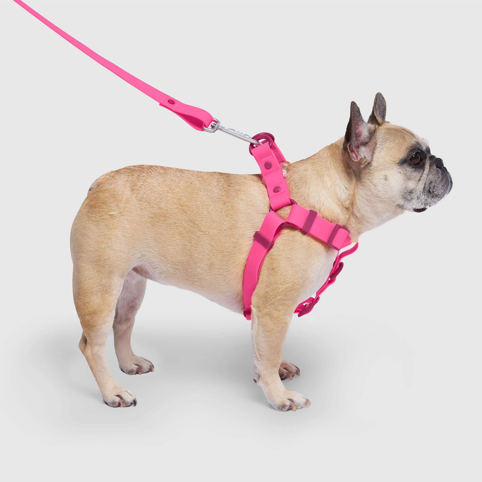 Waterproof Harness by Canada Pooch | Canadapoud 6210