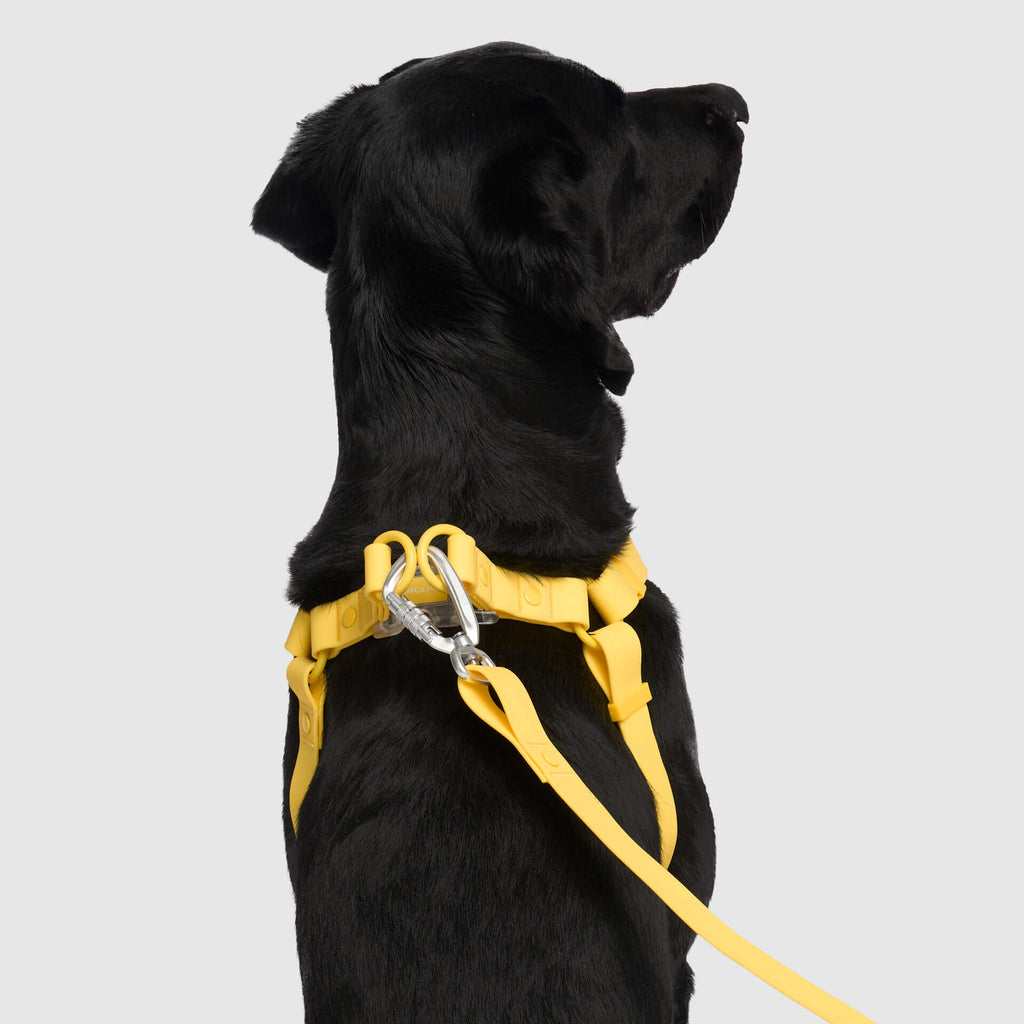 Waterproof Harness by Canada Pooch | Canadapoud 6210