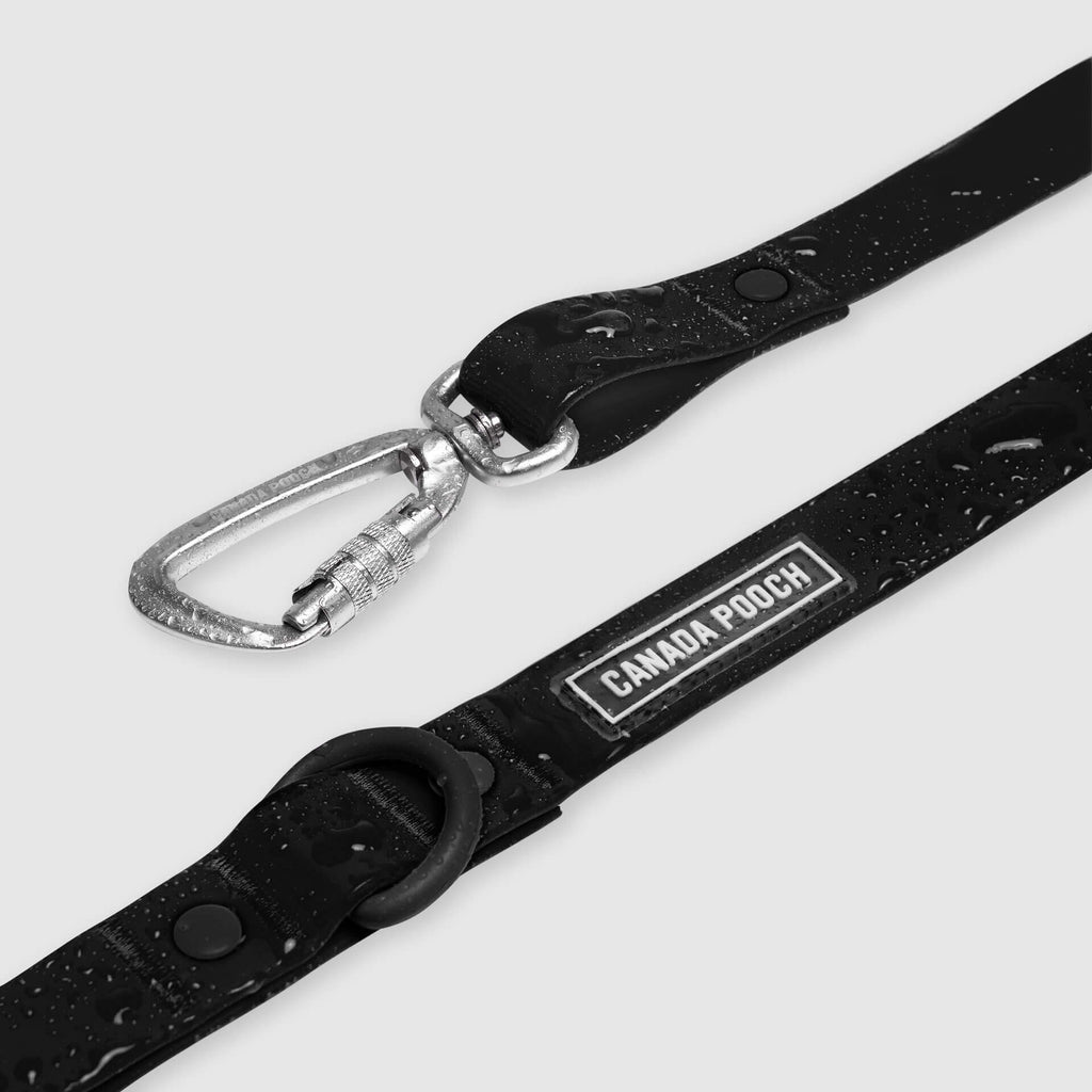 Waterproof Leash by Canada Pooch | Canadapoud EB27