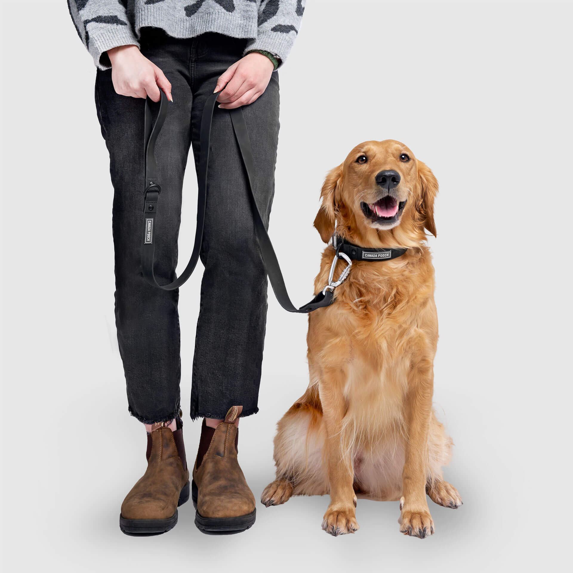 Waterproof Leash by Canada Pooch | Canadapoud EB27