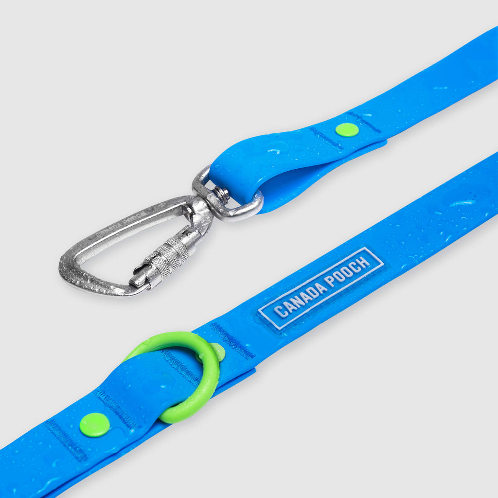 Waterproof Leash by Canada Pooch | Canadapoud EB27
