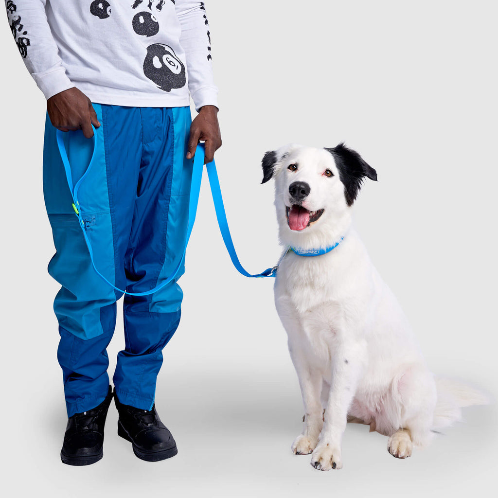 Waterproof Leash by Canada Pooch | Canadapoud EB27