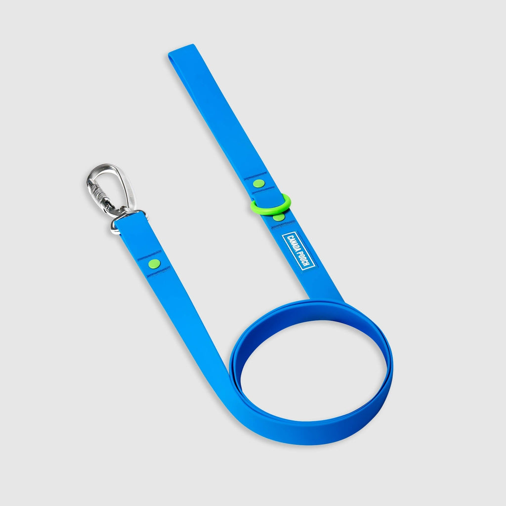 Waterproof Leash by Canada Pooch | Canadapoud EB27