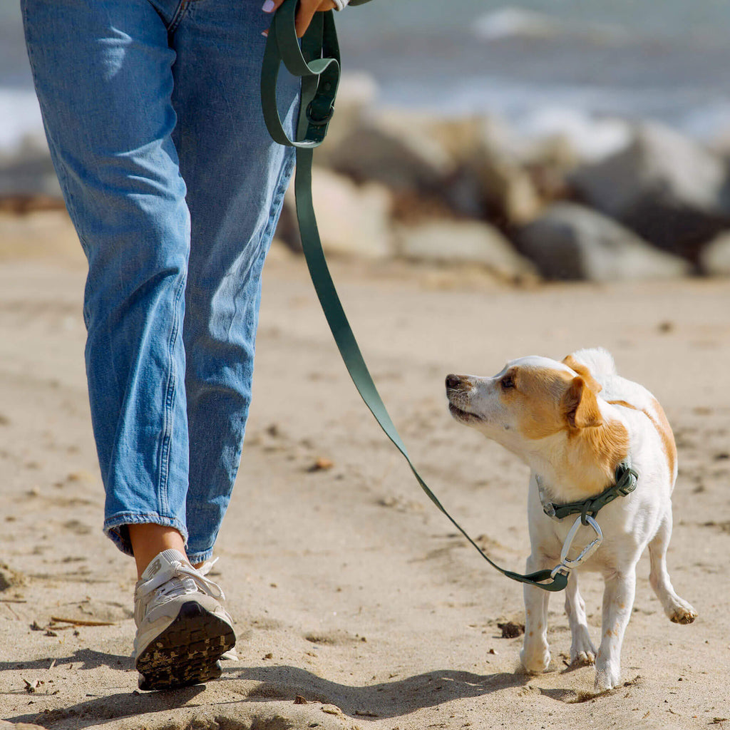 Waterproof Leash by Canada Pooch | Canadapoud EB27