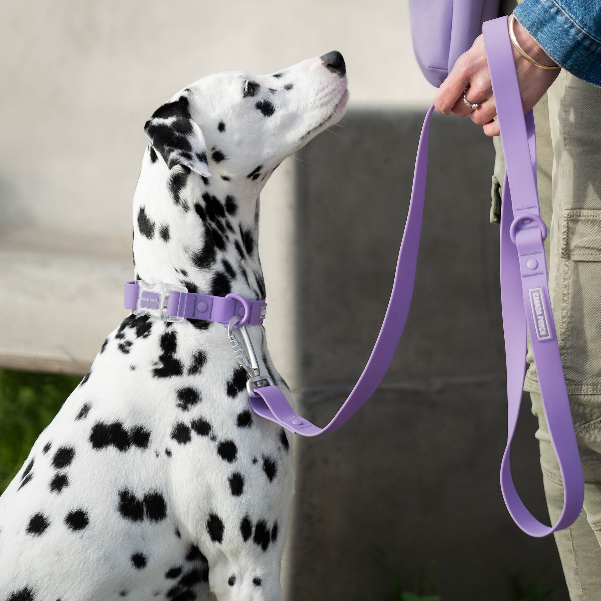 Waterproof Leash by Canada Pooch | Canadapoud EB27