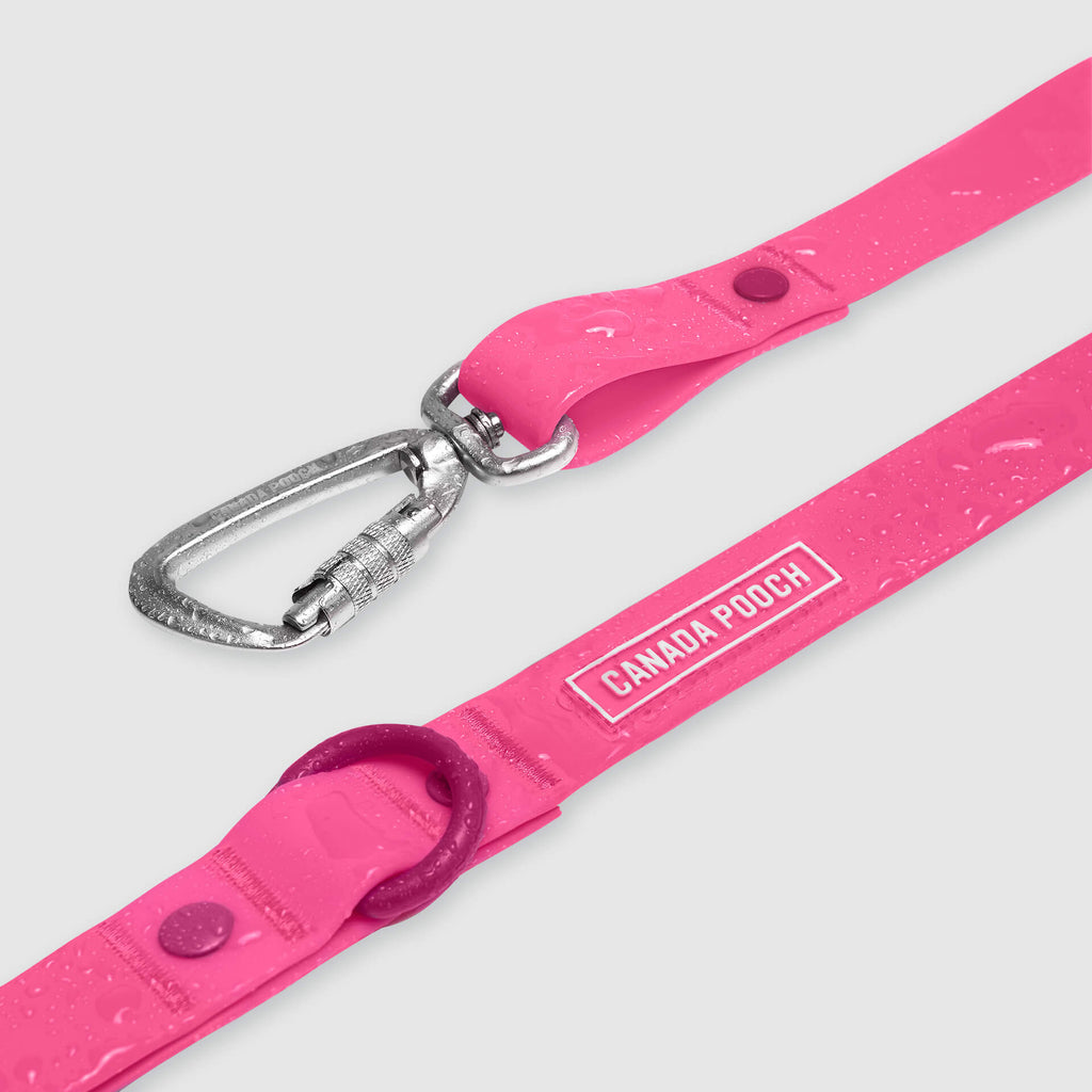 Waterproof Leash by Canada Pooch | Canadapoud EB27