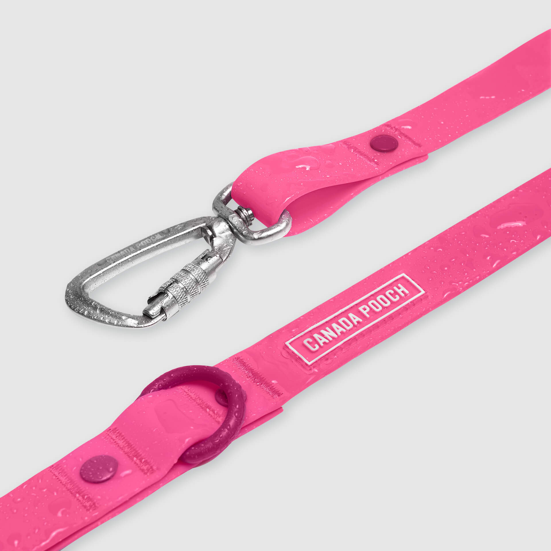 Waterproof Leash by Canada Pooch | Canadapoud EB27