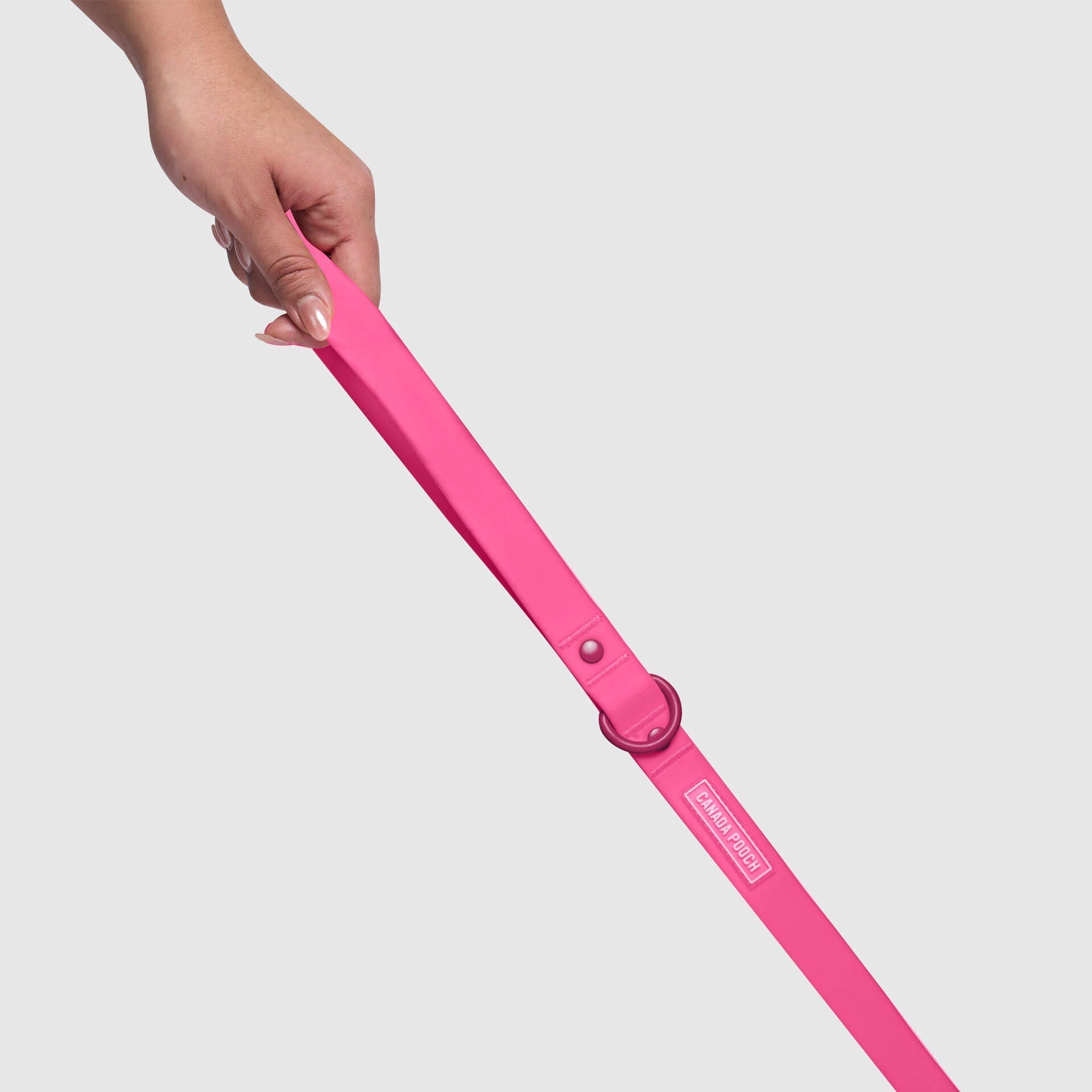 Waterproof Leash by Canada Pooch | Canadapoud EB27