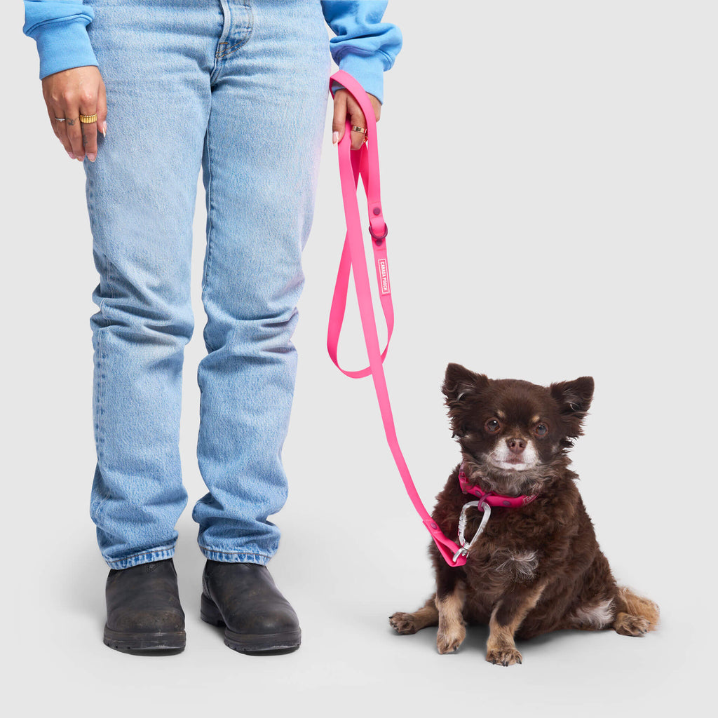 Waterproof Leash by Canada Pooch | Canadapoud EB27