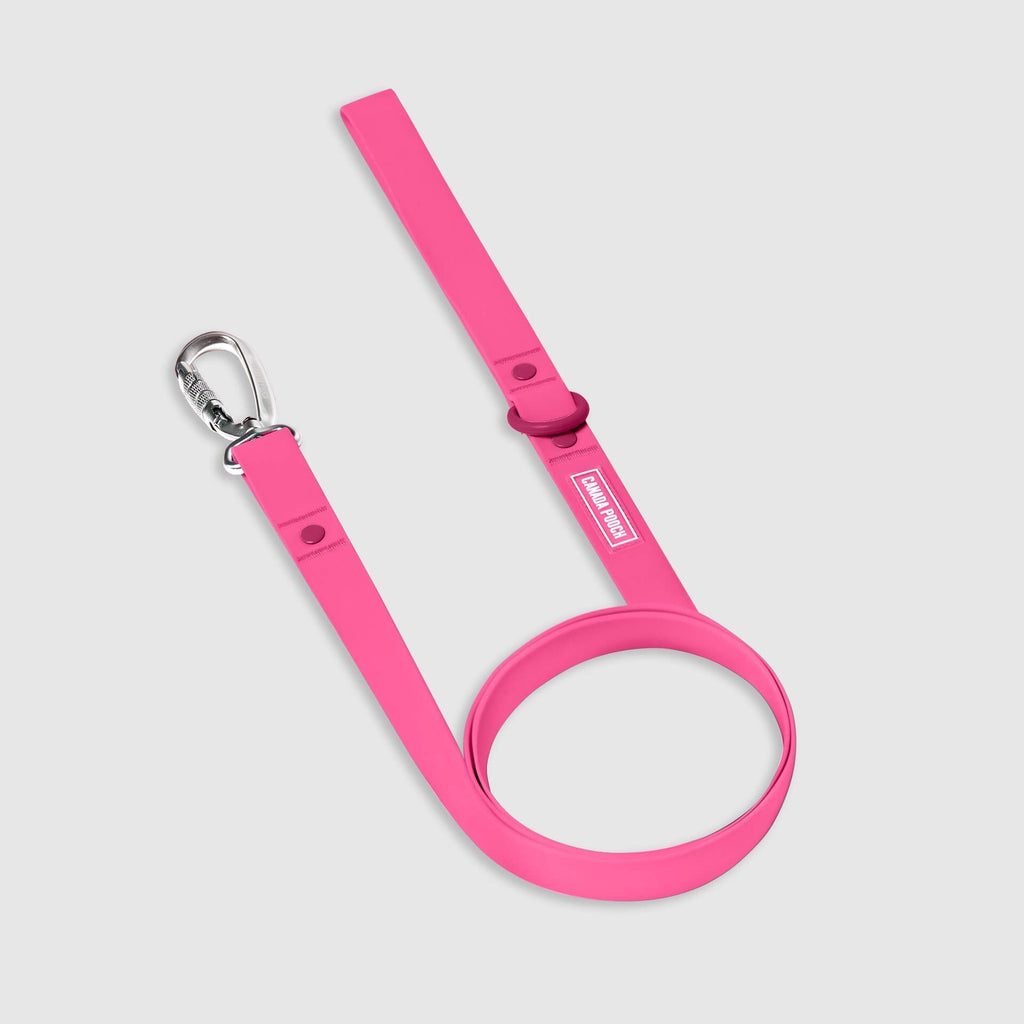 Waterproof Leash by Canada Pooch | Canadapoud EB27