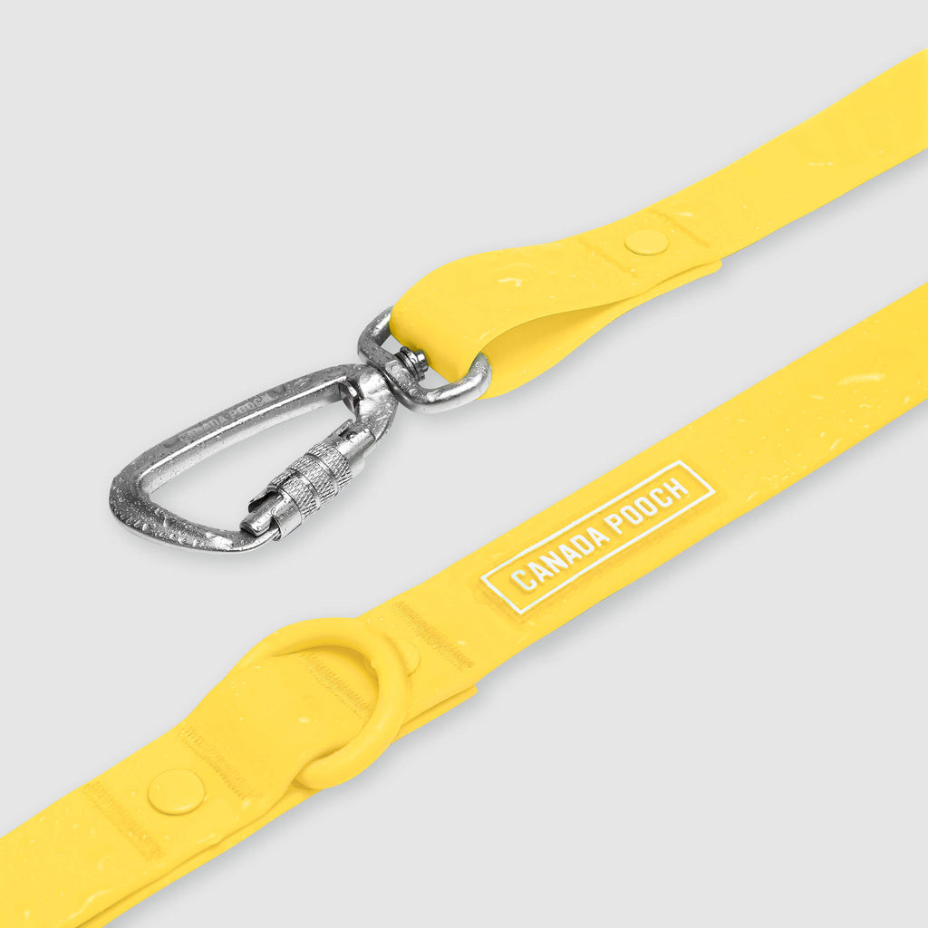 Waterproof Leash by Canada Pooch | Canadapoud EB27