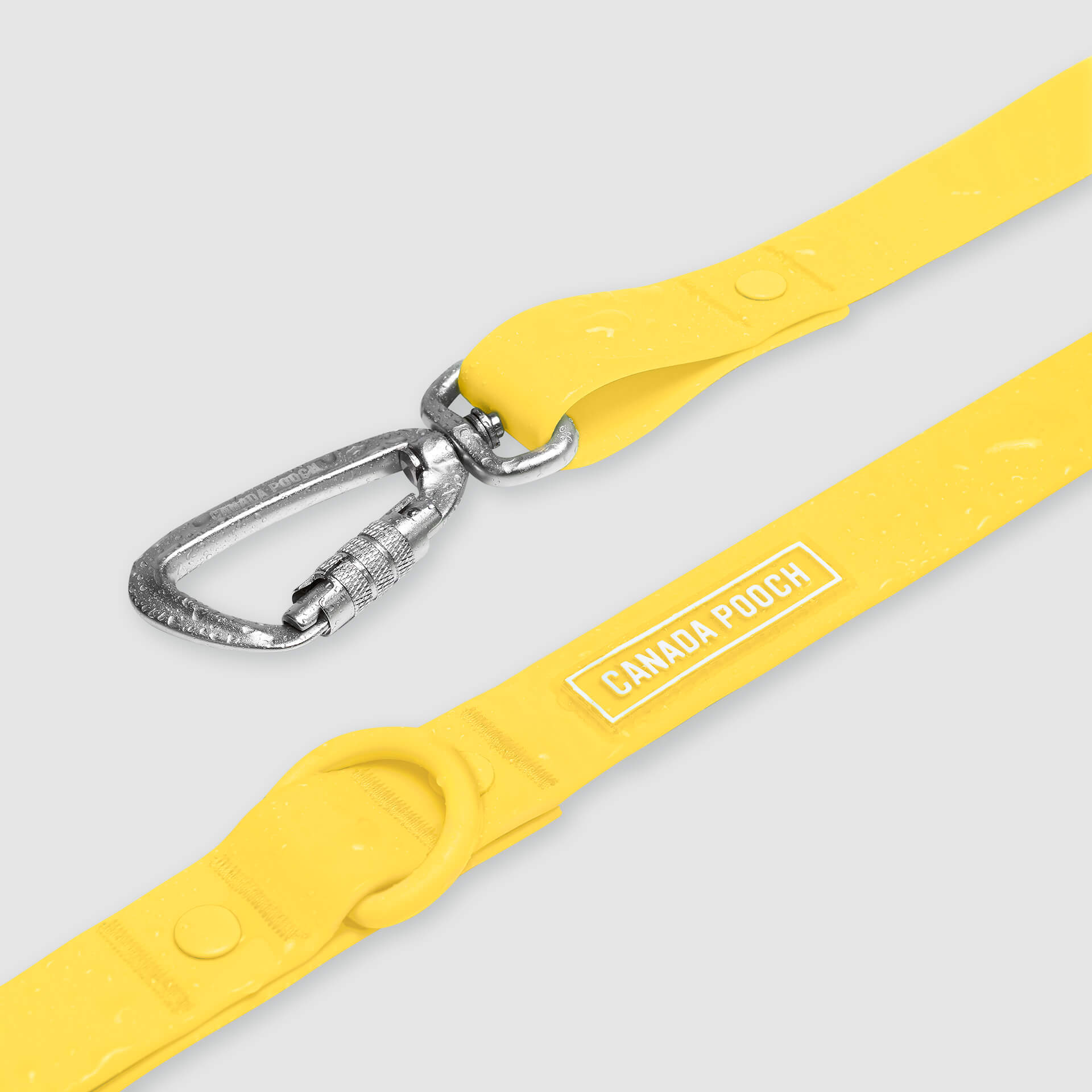 Waterproof Leash by Canada Pooch | Canadapoud EB27