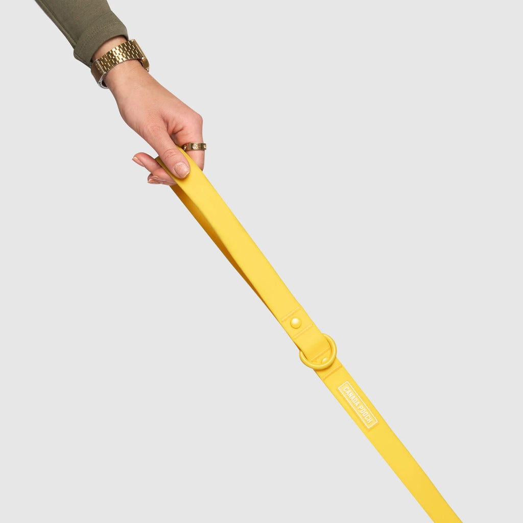 Waterproof Leash by Canada Pooch | Canadapoud EB27