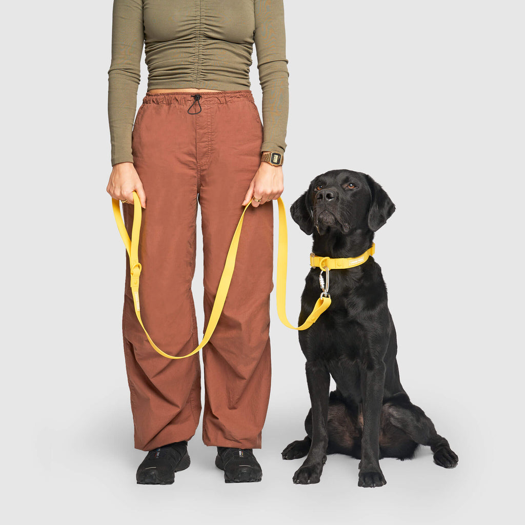 Waterproof Leash by Canada Pooch | Canadapoud EB27