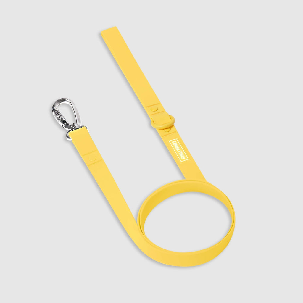 Waterproof Leash by Canada Pooch | Canadapoud EB27