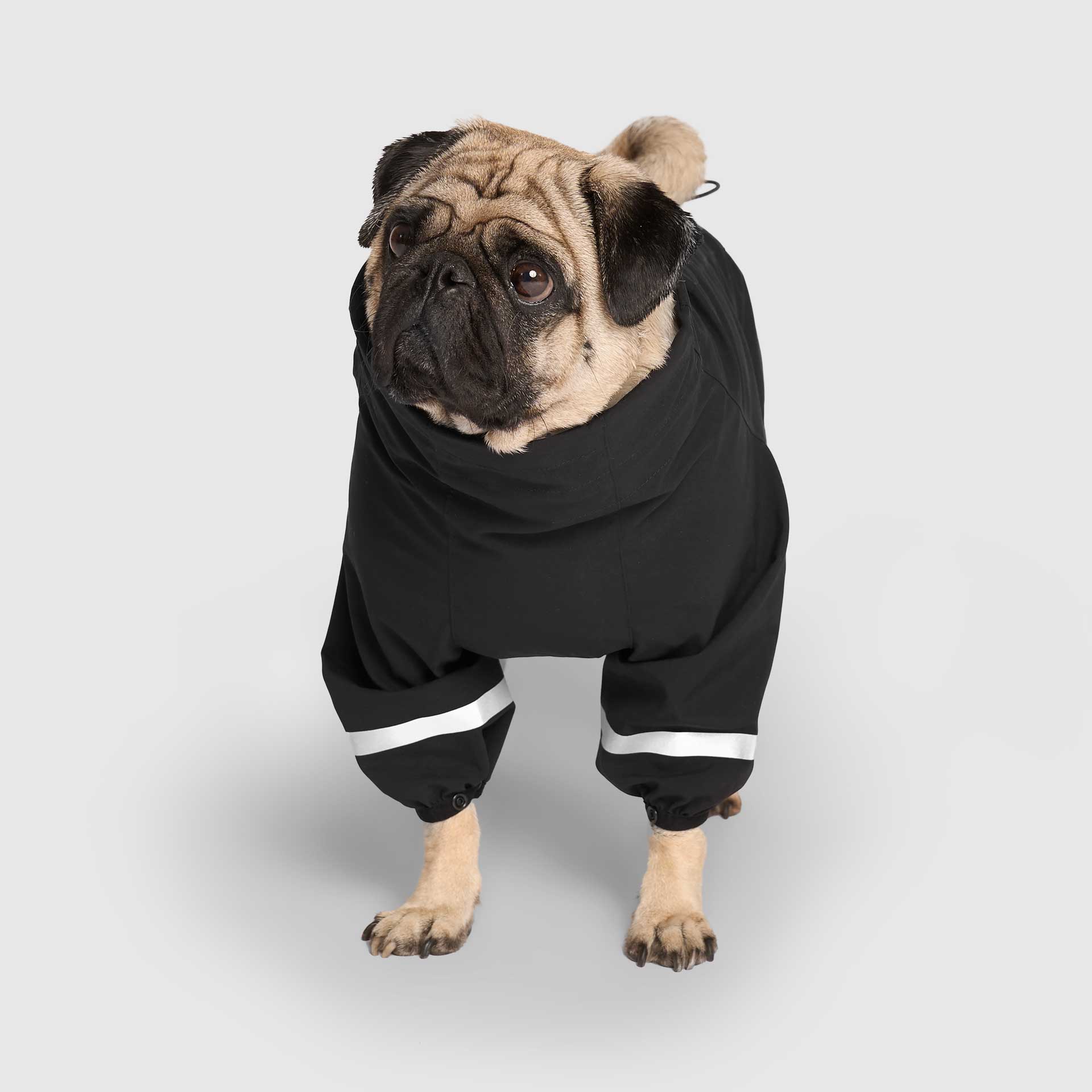 Waterproof Raincoat by Canada Pooch | Canadapoud 71AE