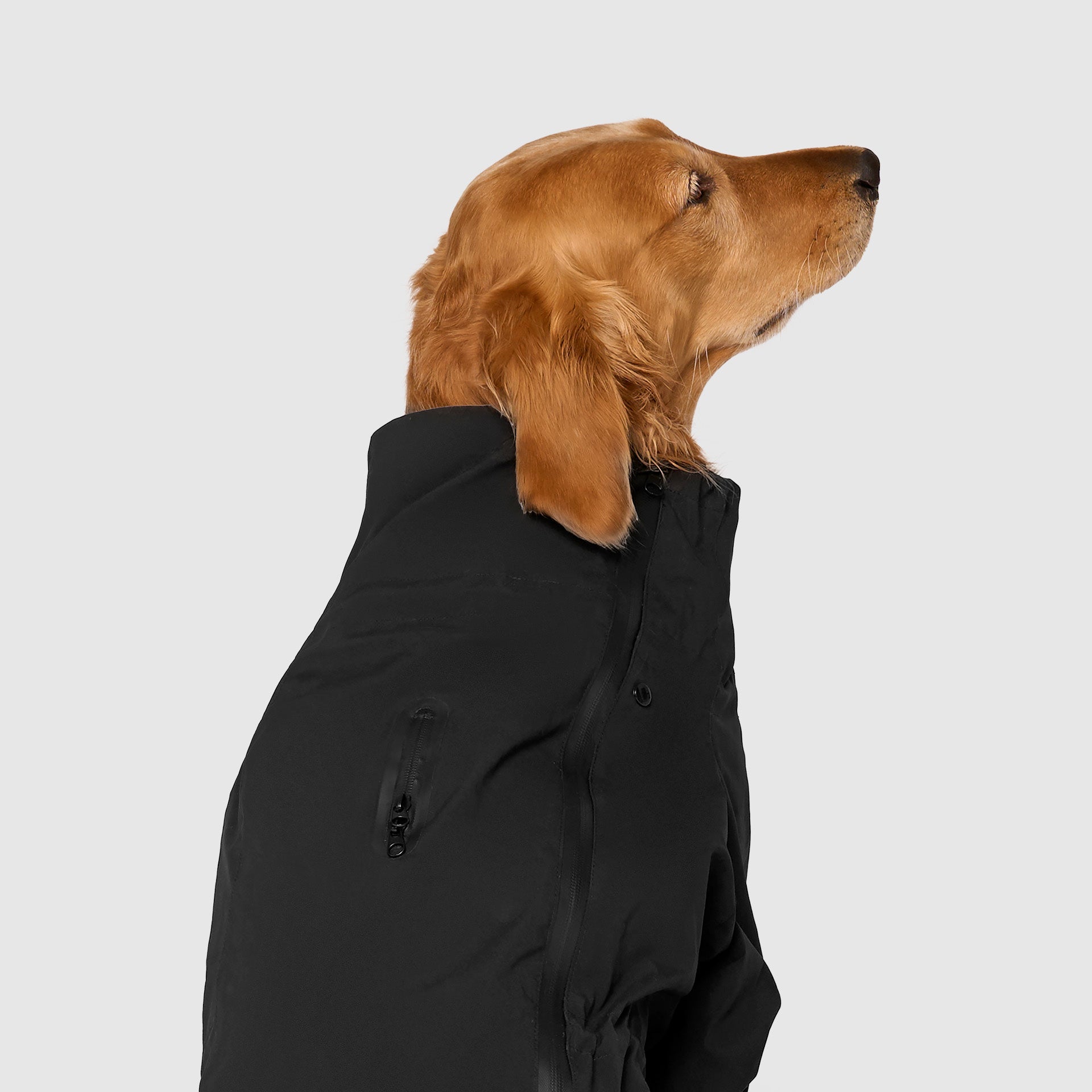 Waterproof Raincoat by Canada Pooch | Canadapoud 71AE