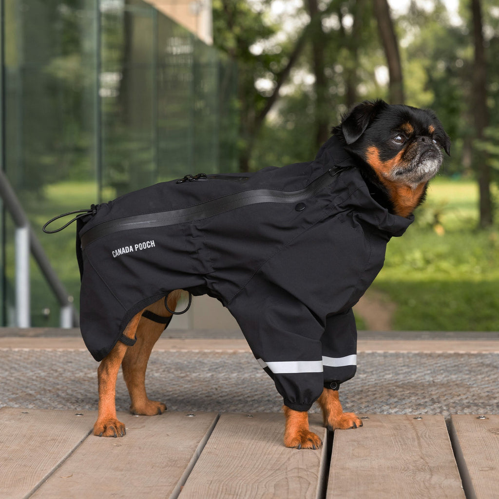 Waterproof Raincoat by Canada Pooch | Canadapoud 71AE