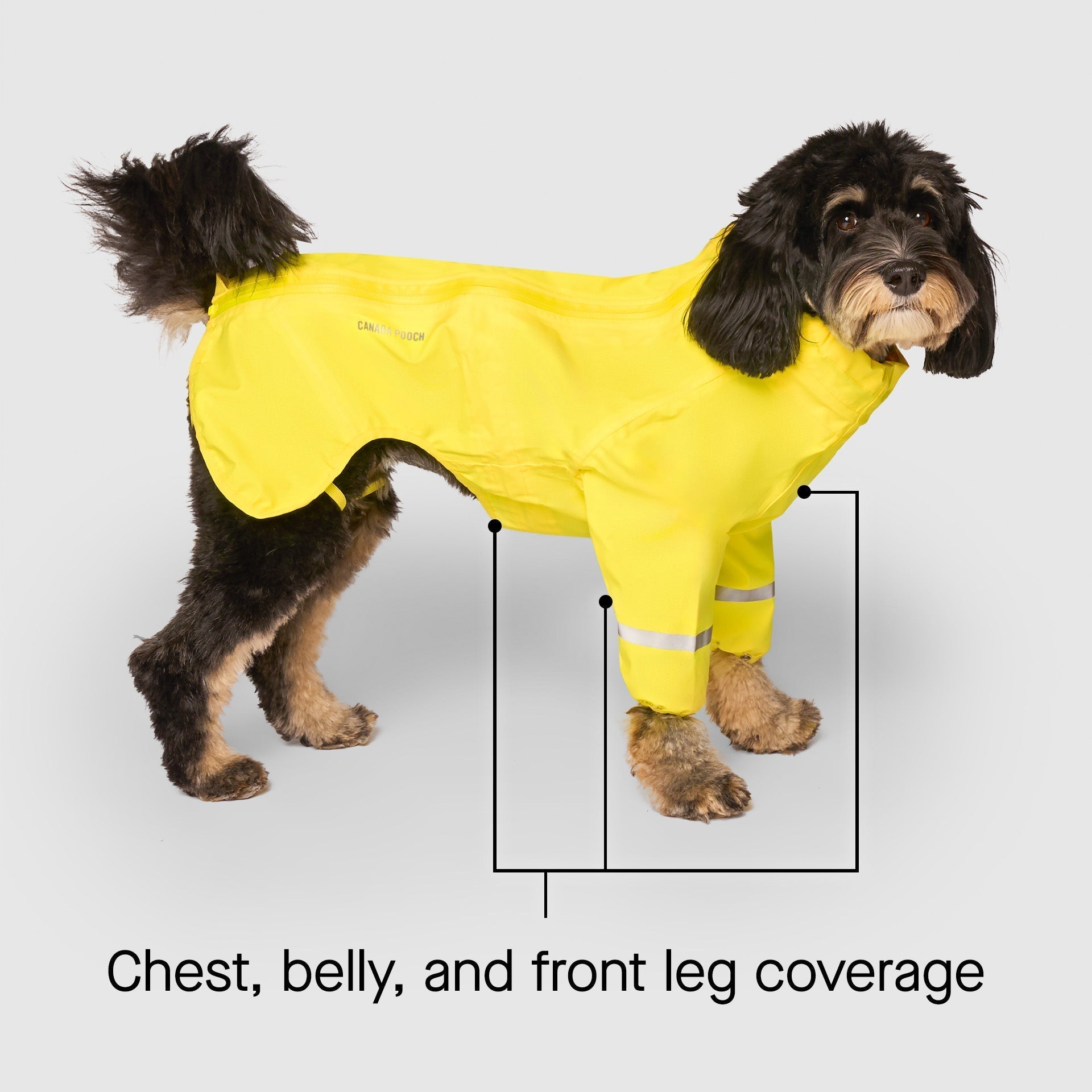 Waterproof Raincoat by Canada Pooch | Canadapoud 71AE