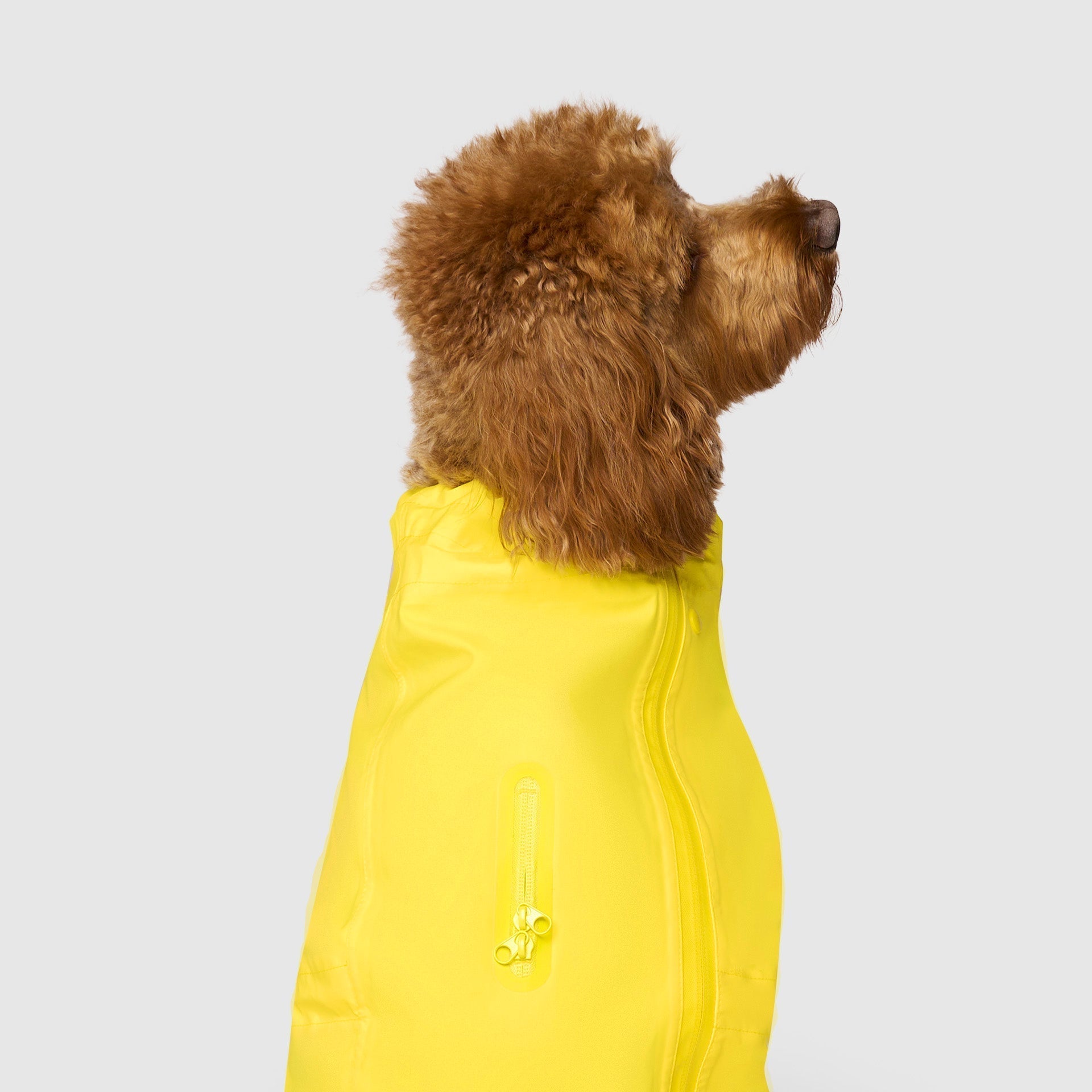 Waterproof Raincoat by Canada Pooch | Canadapoud 71AE