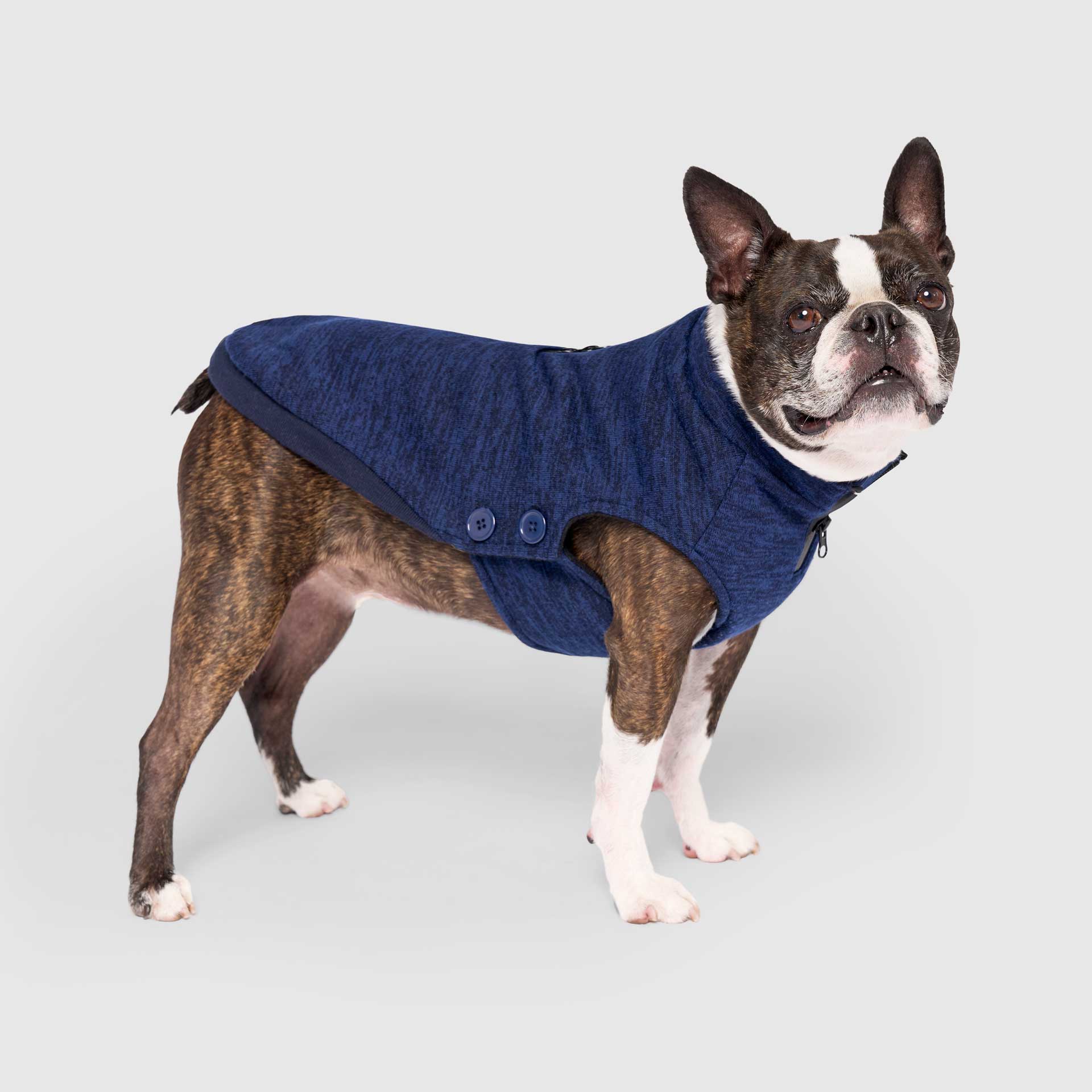 Waterproof Sweater by Canada Pooch | Canadapoud 7EF8