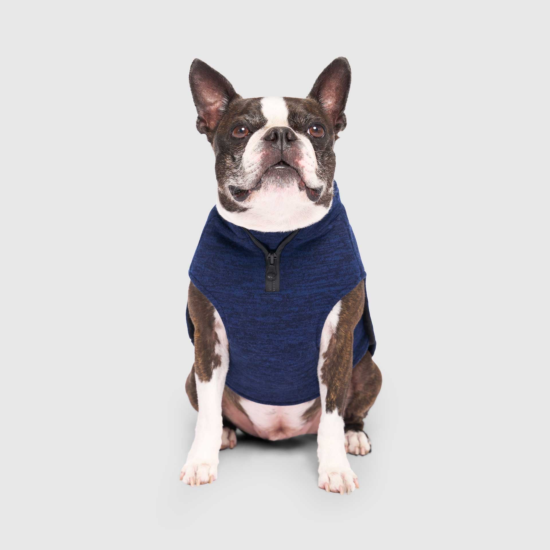 Waterproof Sweater by Canada Pooch | Canadapoud 6EF2