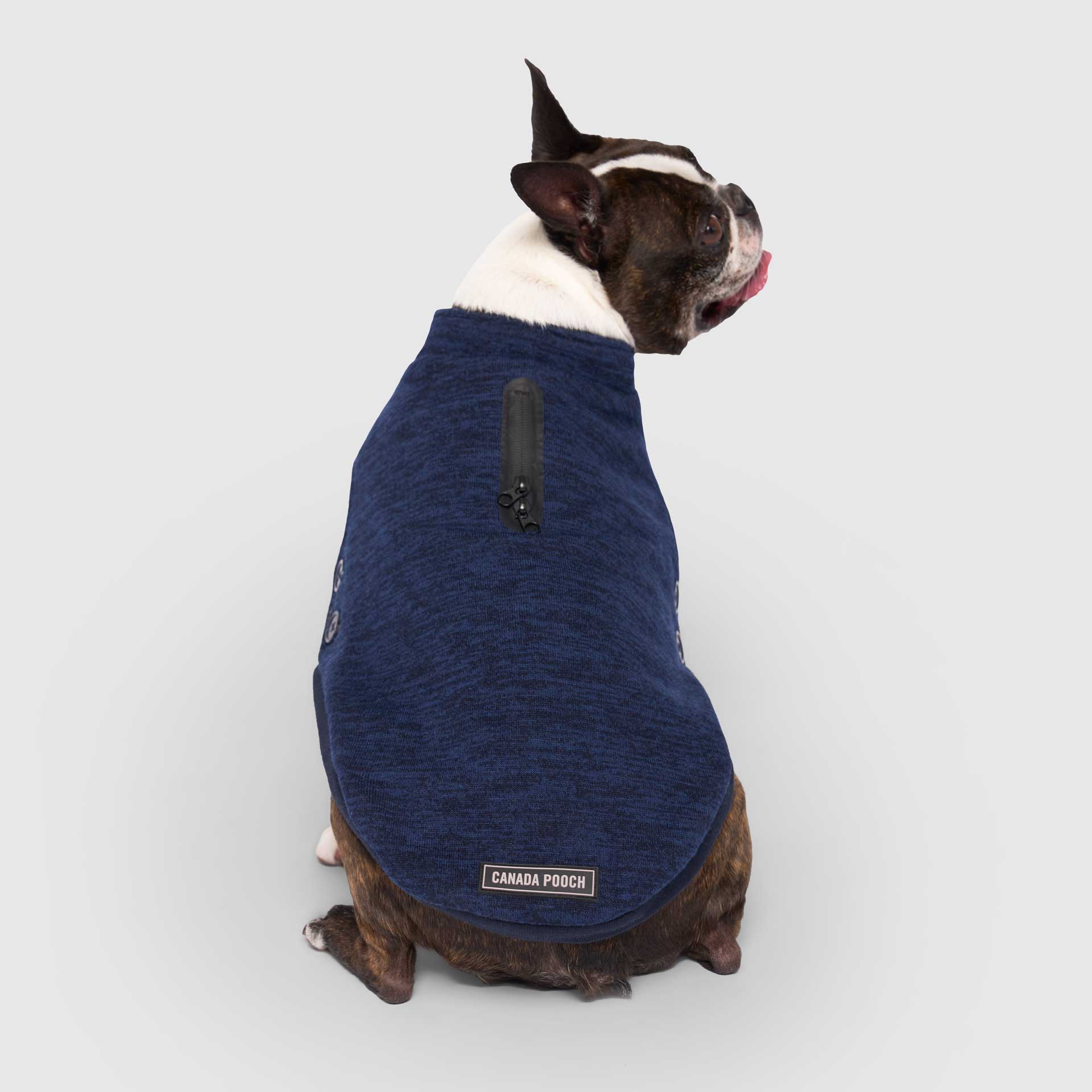 Waterproof Sweater by Canada Pooch | Canadapoud 7EF8
