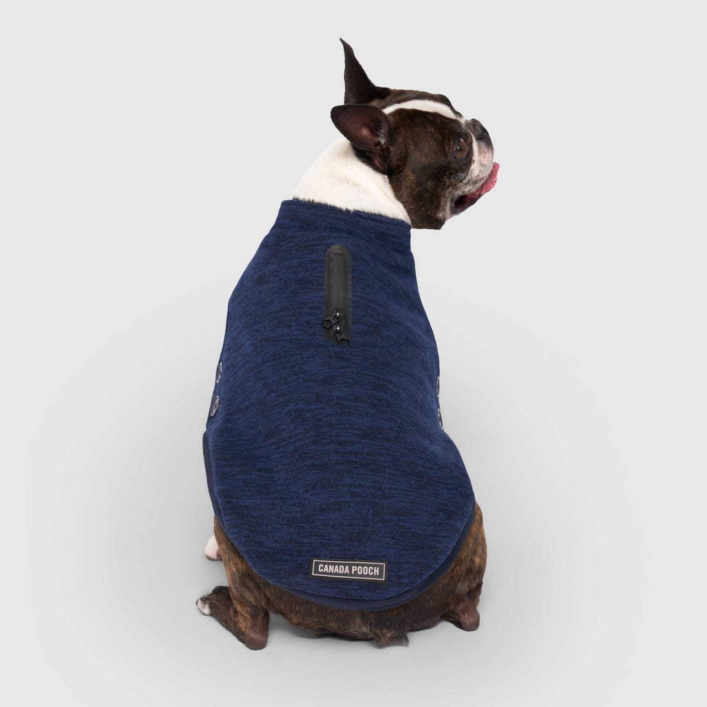Waterproof Sweater by Canada Pooch | Canadapoud 6EF2