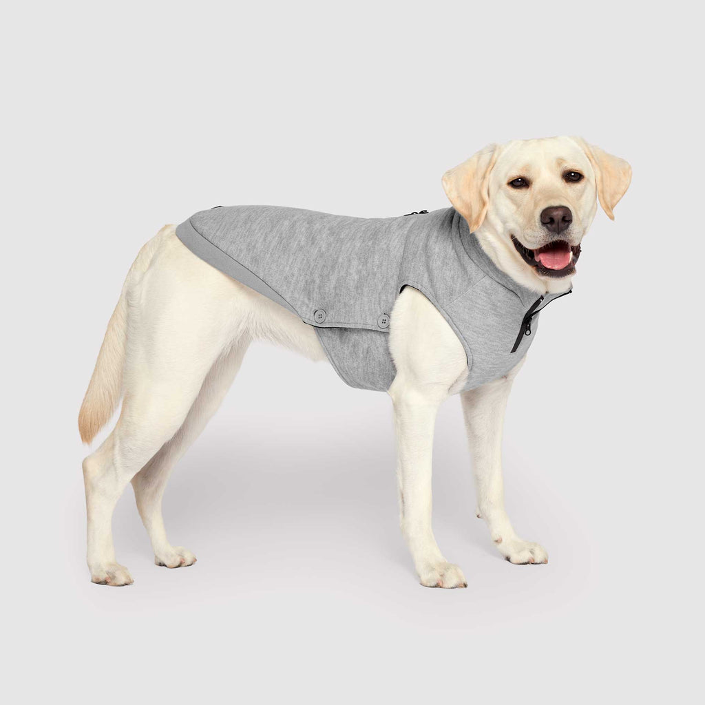Waterproof Sweater by Canada Pooch | Canadapoud 7EF8