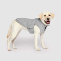 Waterproof Sweater by Canada Pooch | Canadapoud 7EF8