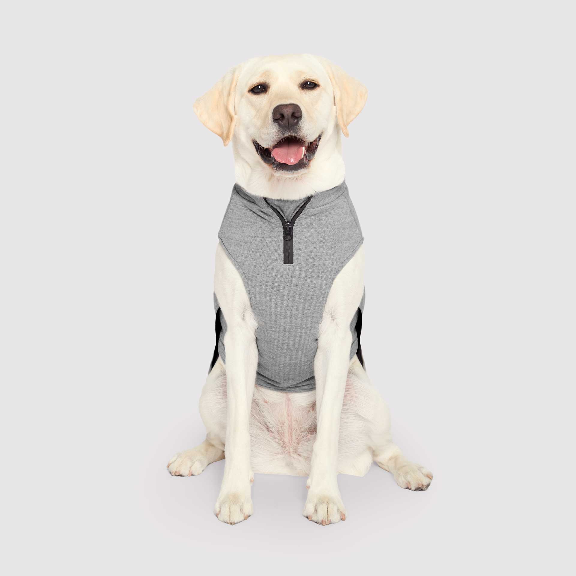 Waterproof Sweater by Canada Pooch | Canadapoud 7EF8