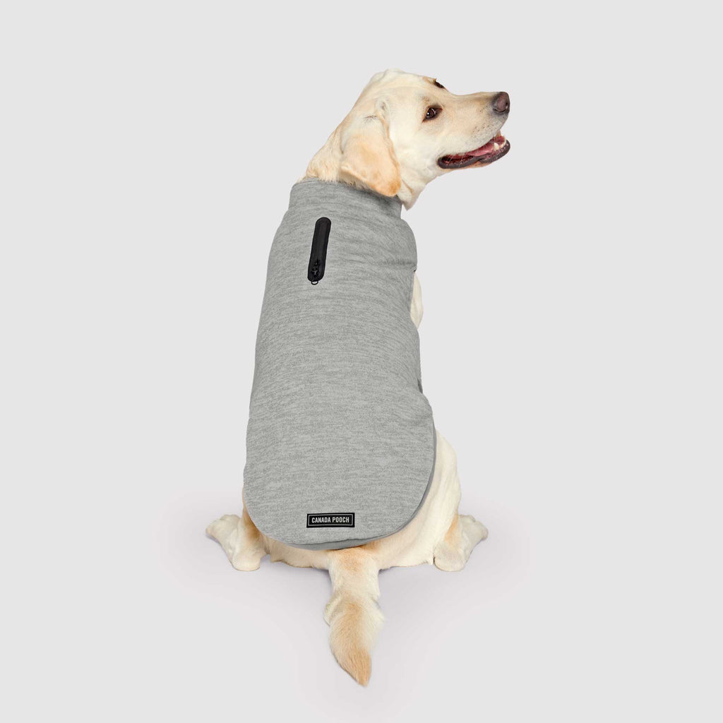 Waterproof Sweater by Canada Pooch | Canadapoud 7EF8