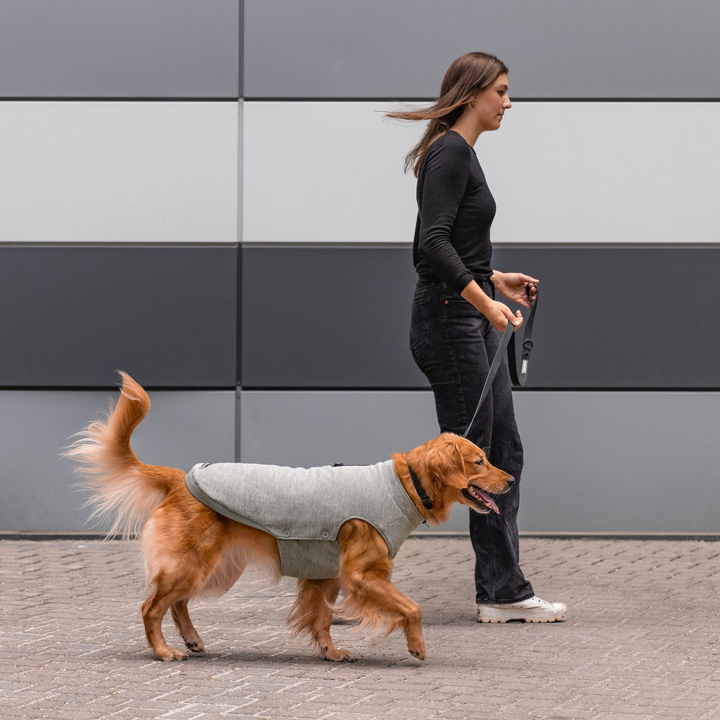 Waterproof Sweater by Canada Pooch | Canadapoud 7EF8