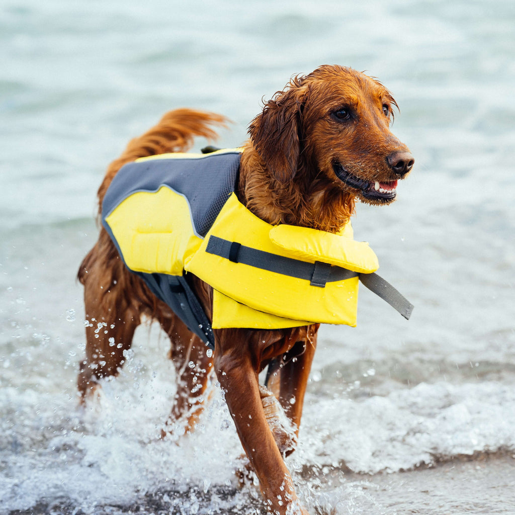 Wave Rider Life Jacket by Canada Pooch | Canadapoud 857A