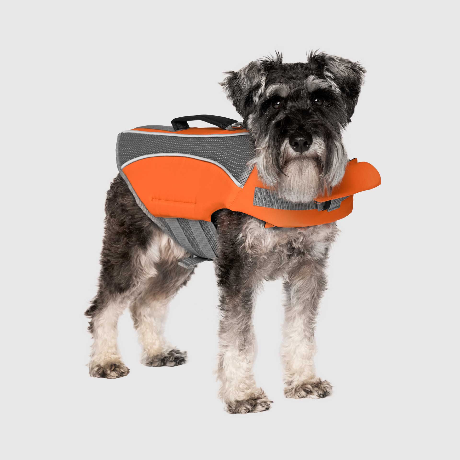 Wave Rider Life Jacket by Canada Pooch | Canadapoud 857A