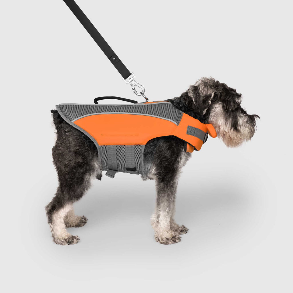 Wave Rider Life Jacket by Canada Pooch | Canadapoud 857A