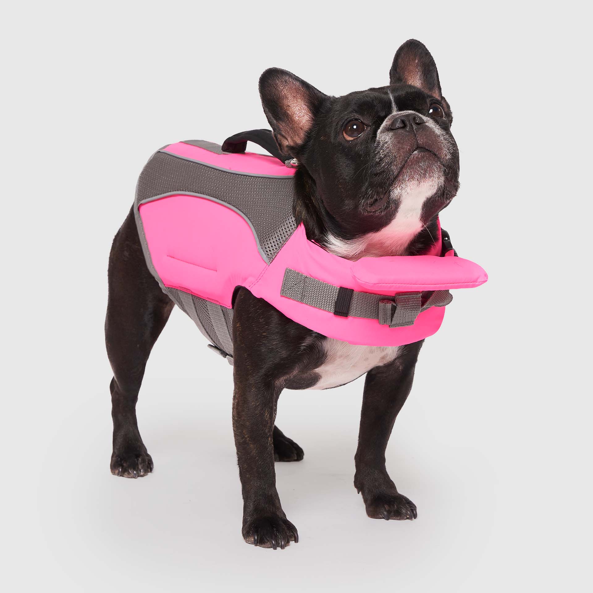Wave Rider Life Jacket by Canada Pooch | Canadapoud 857A