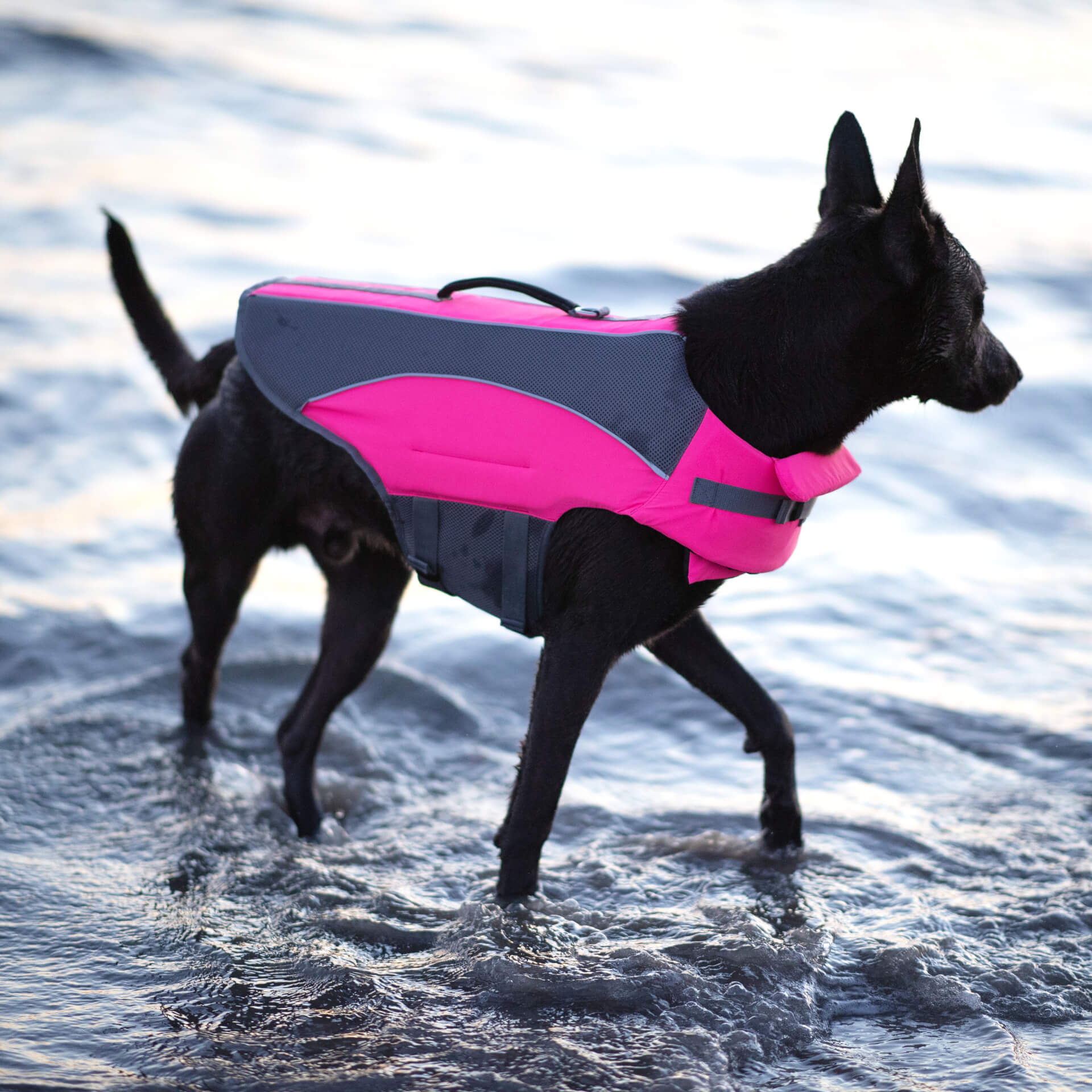 Wave Rider Life Jacket by Canada Pooch | Canadapoud 857A