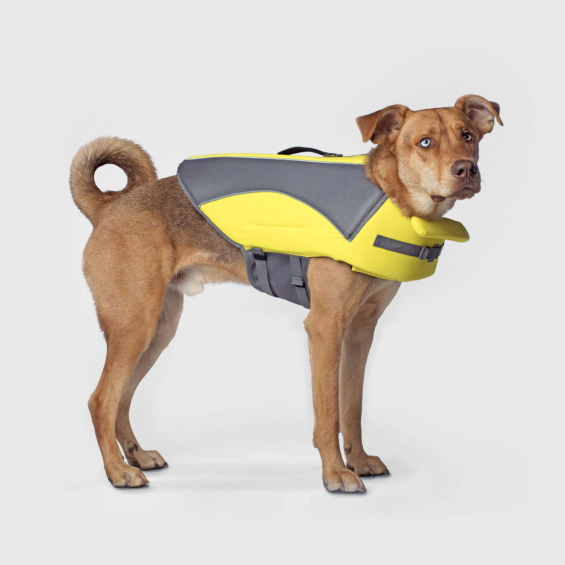 Wave Rider Life Jacket by Canada Pooch | Canadapoud 857A
