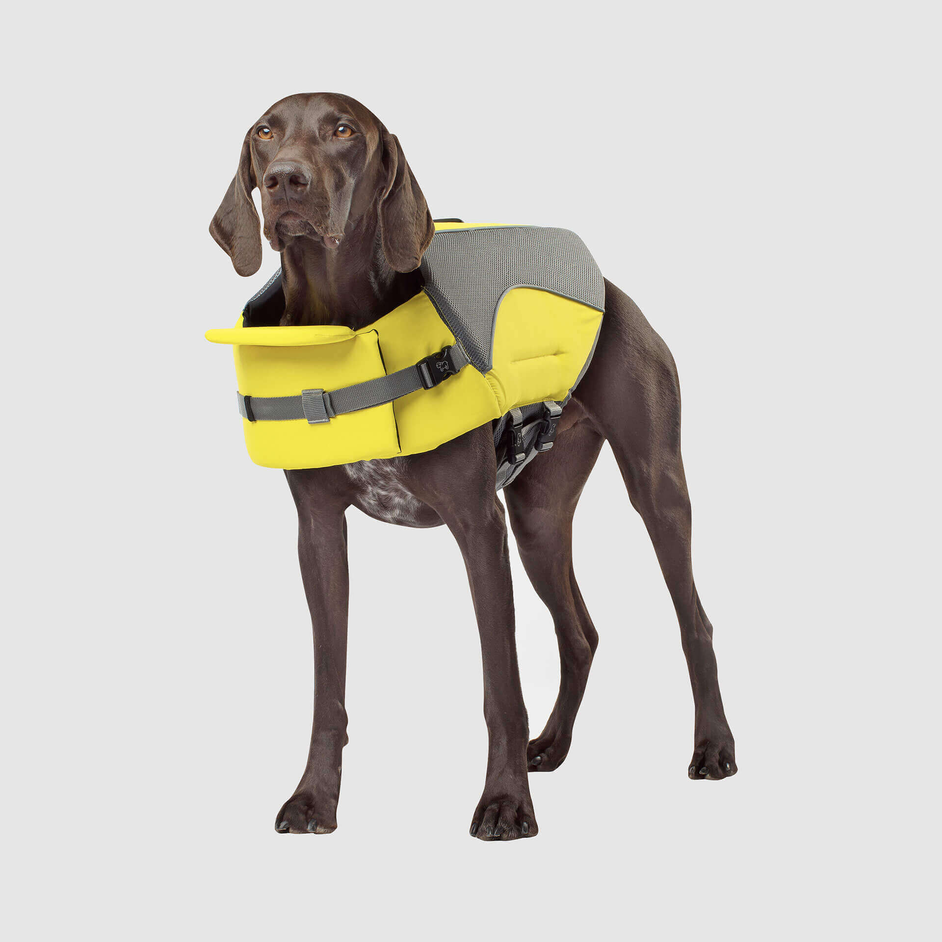 Wave Rider Life Jacket by Canada Pooch | Canadapoud 30A6