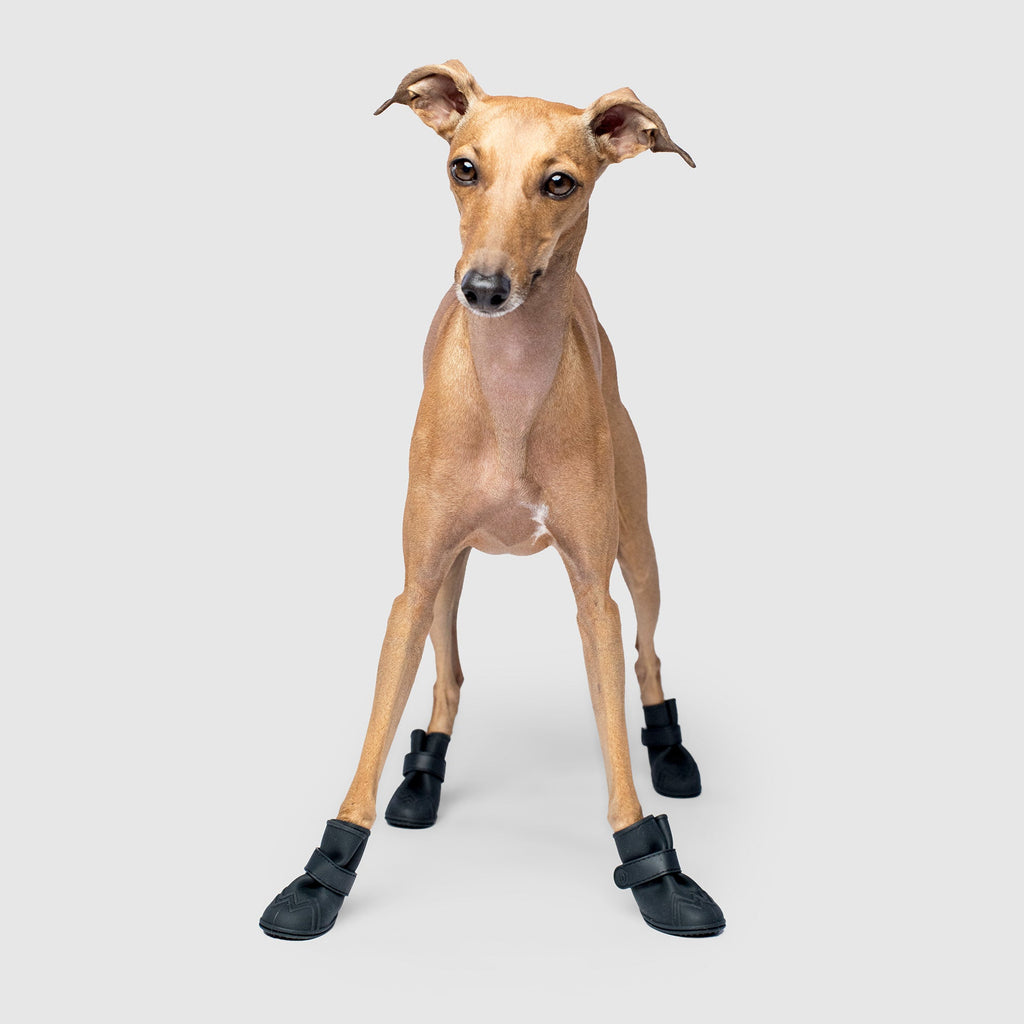 Unlined Wellies by Canada Pooch | Canadapoud 70C7
