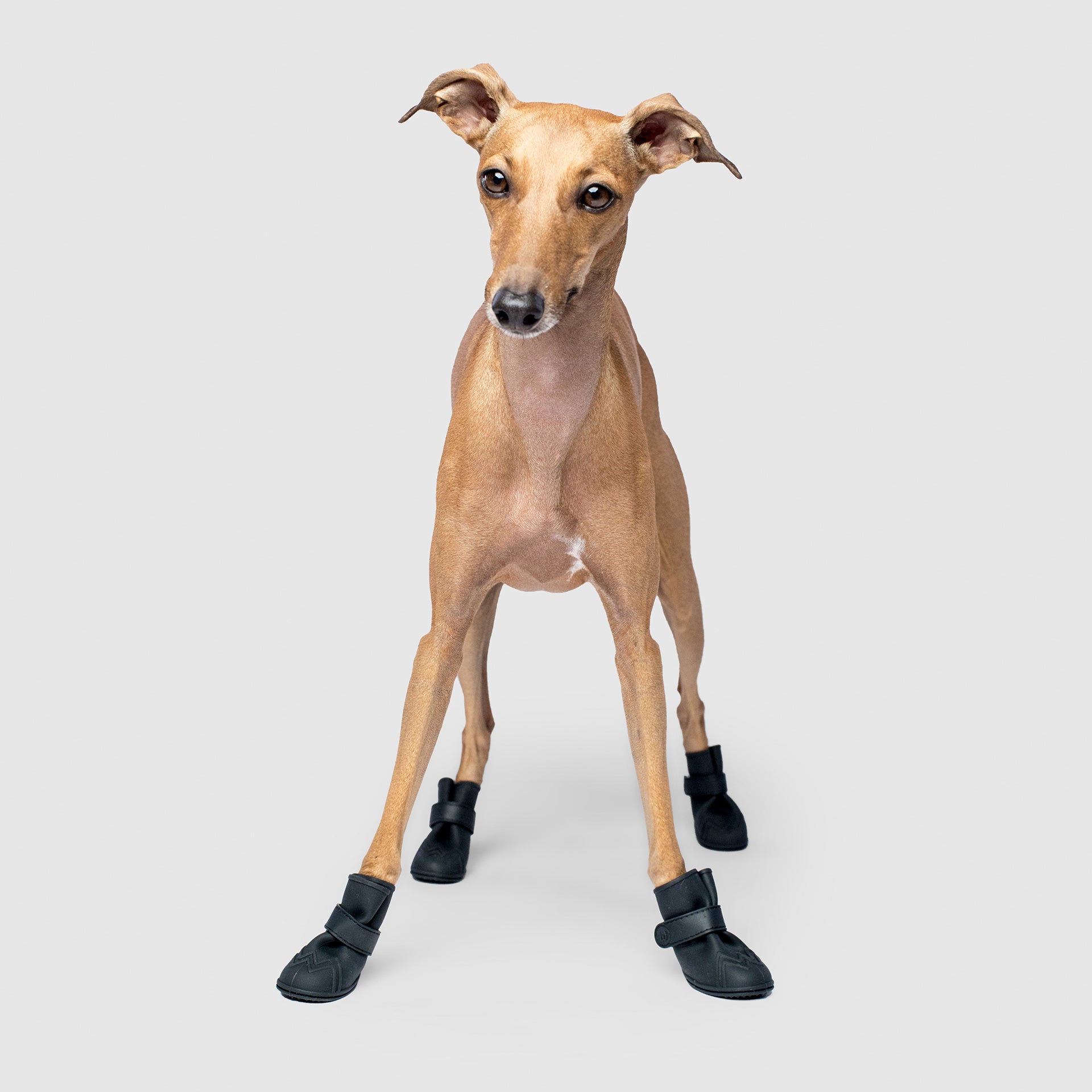Unlined Wellies by Canada Pooch | Canadapoud 70C7