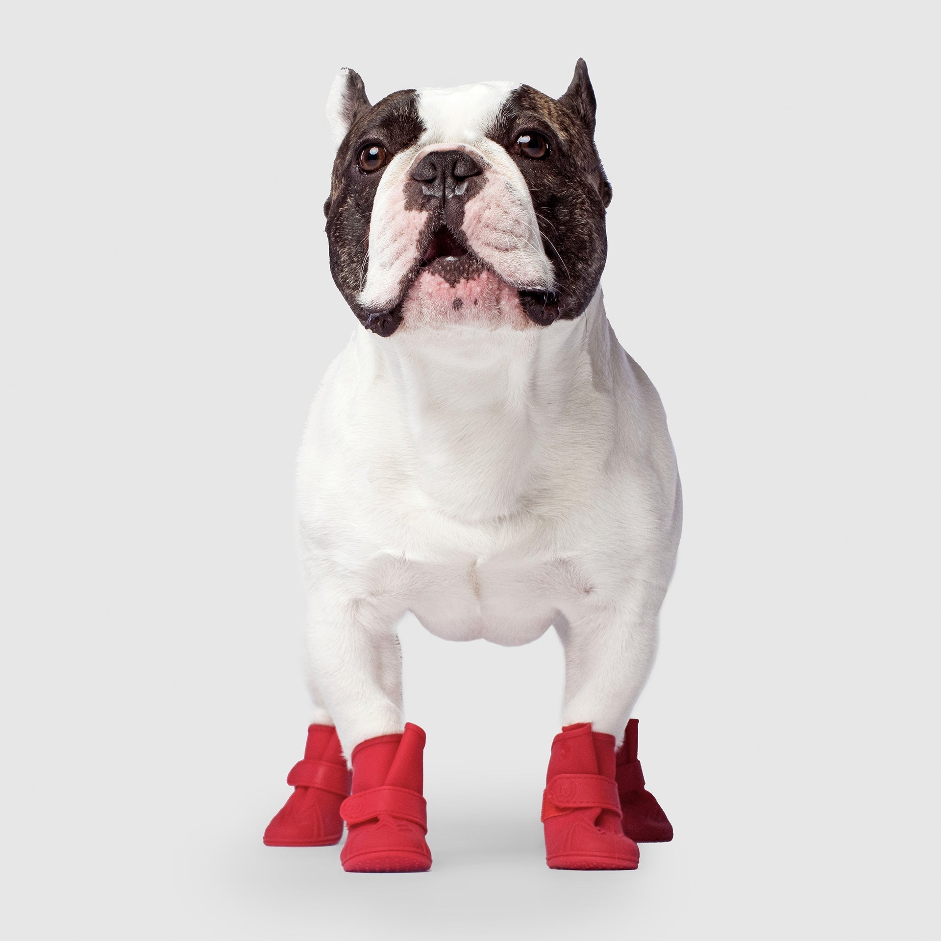 Unlined Wellies by Canada Pooch | Canadapoud 7333